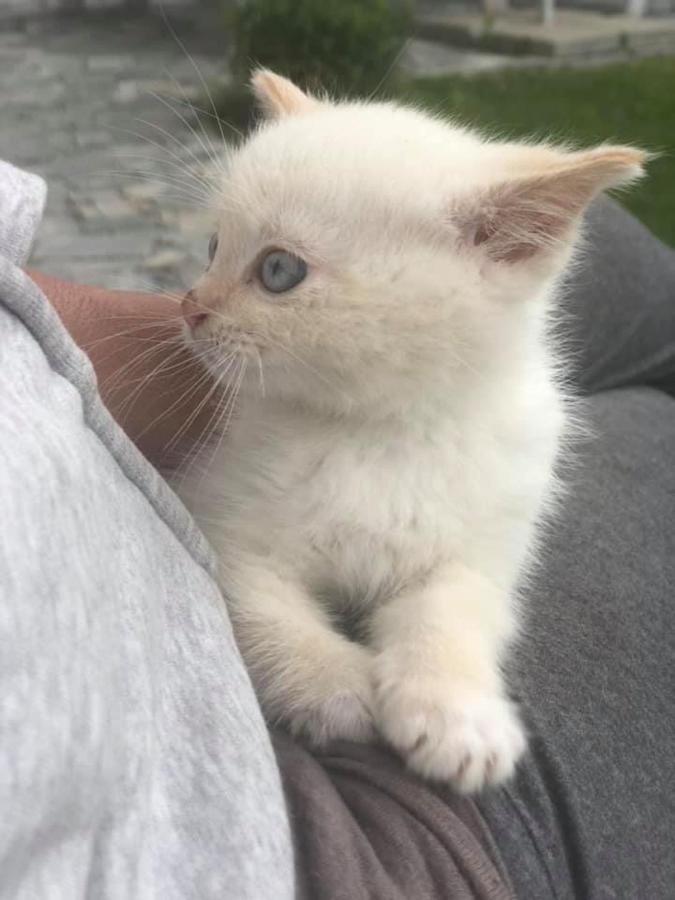 Penzion A Hospoda Na Statku Hluboka nad Vltavou Bagian luar foto