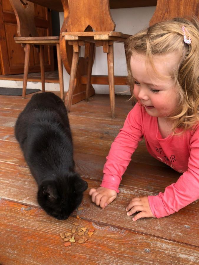 Penzion A Hospoda Na Statku Hluboka nad Vltavou Bagian luar foto